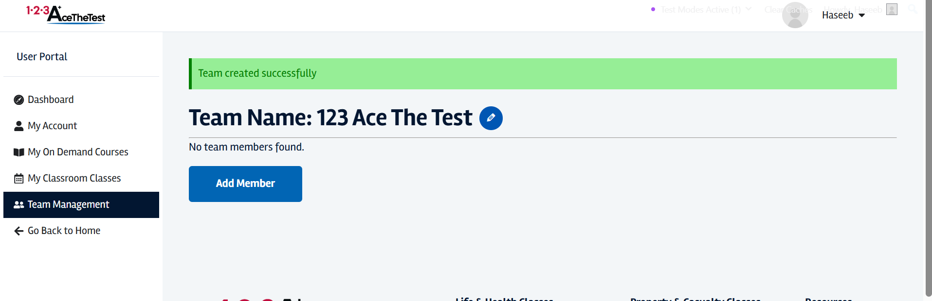 Team member for insurance